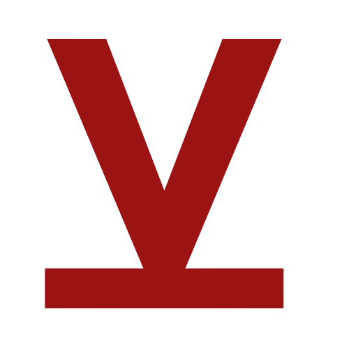 Varynt Logo
